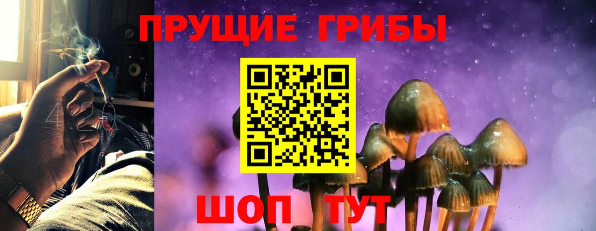 Галлюциногенные грибы Magic Shrooms Донской